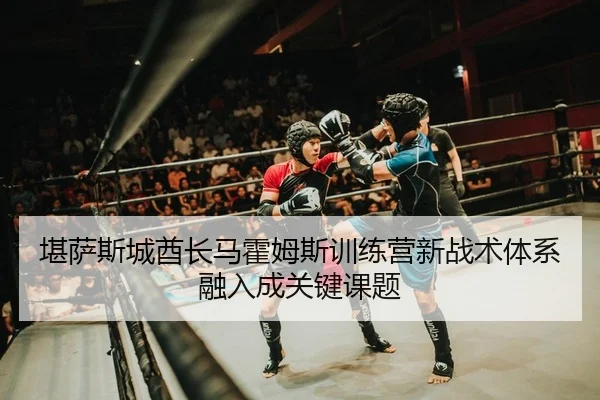堪萨斯城酋长马霍姆斯训练营新战术体系融入成关键课题